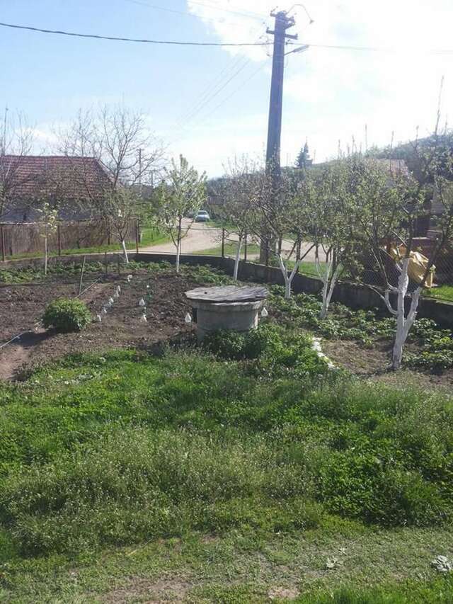 Лоджи Badesti Farm House Răscruci-20